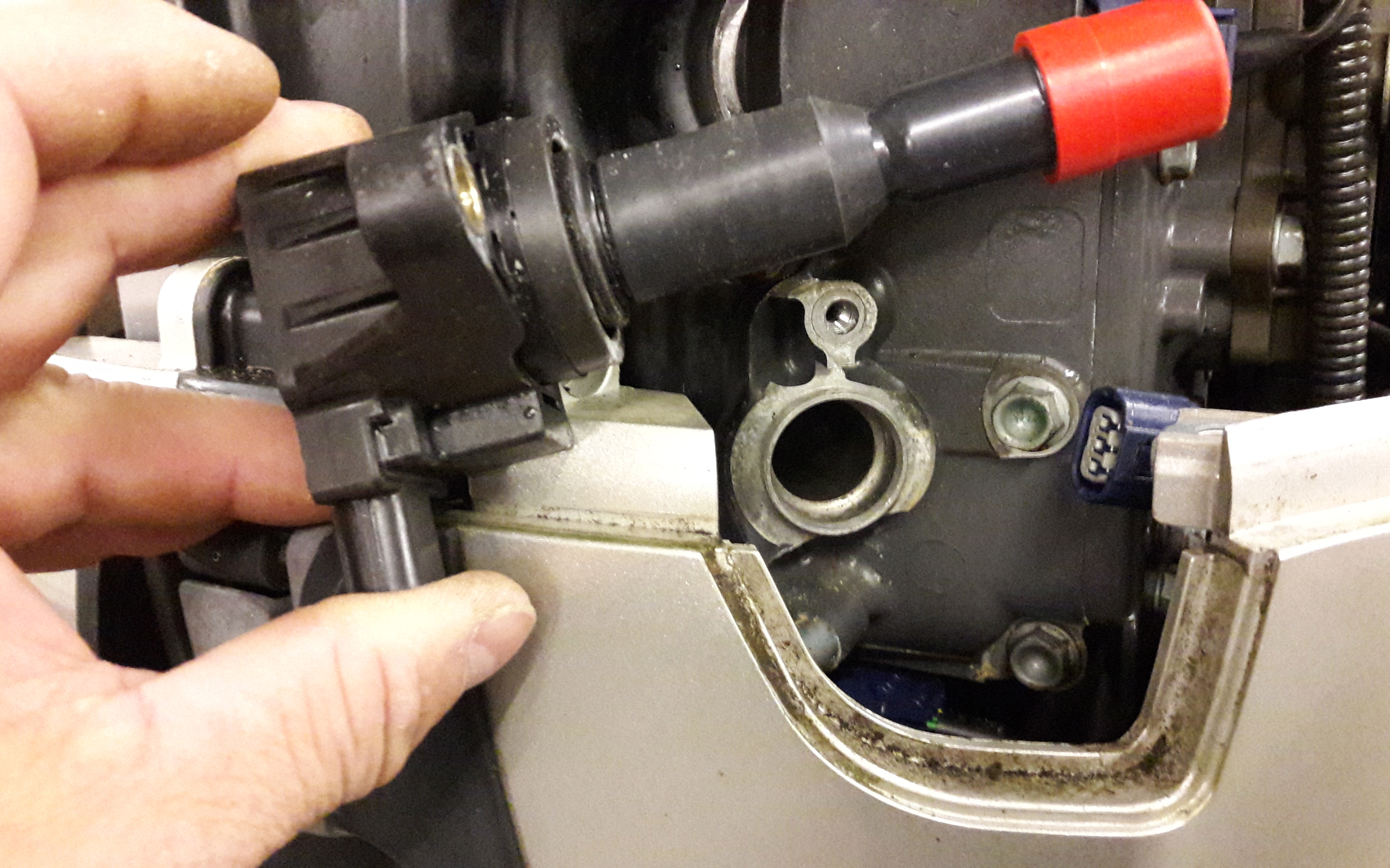 Servicing a 2008  Honda 90hp BF LRTU